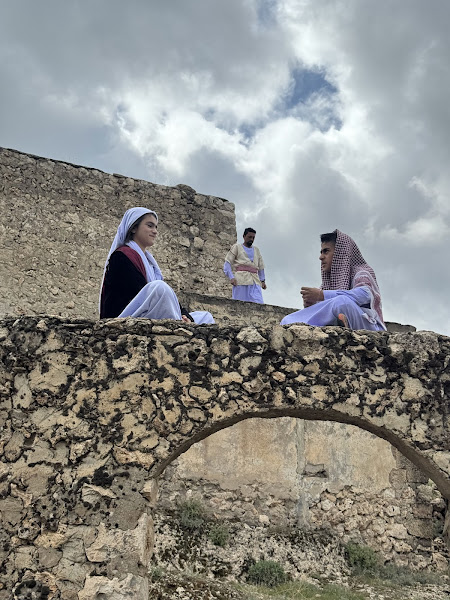 Asurlar Turizm Cizre