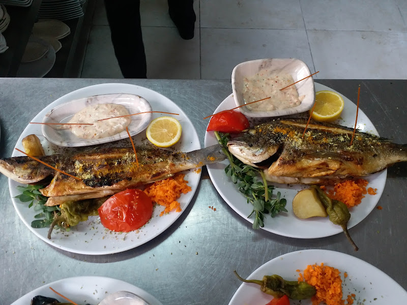 Asya Alabalık Fidancılık