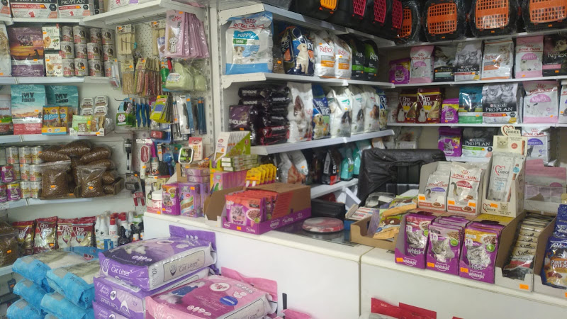 Ataşehir Let's Go! Petshop │ Royal Canin │ Pro Plan │ Kedi Kumu │ Açık Kedi Maması ◄ İnönü ◄ Kayışdağı ◄ Küçükbakkalköy