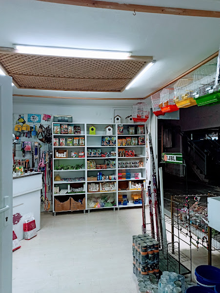 Ateş Akvaryum Pet Shop