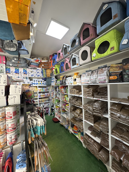 Atlantik petshop