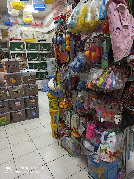 Atlantis pet shop