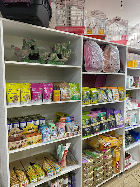 Atlas 38 Pet Shop