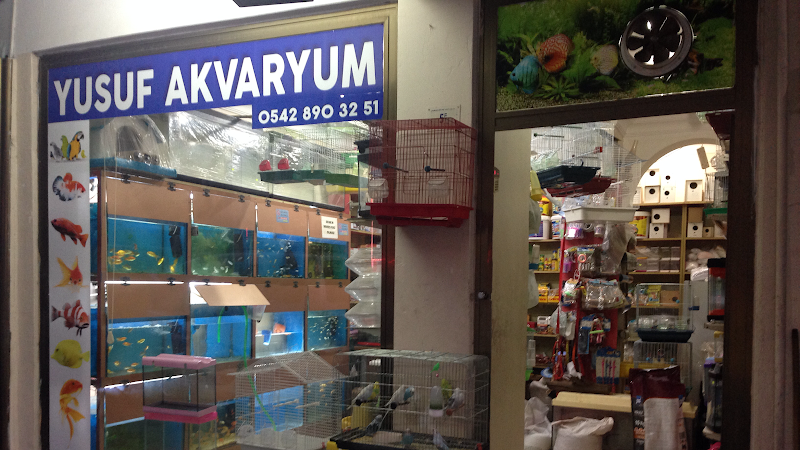 Aura Pet Market