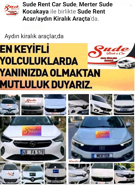 Avis Araç Kiralama Aydın