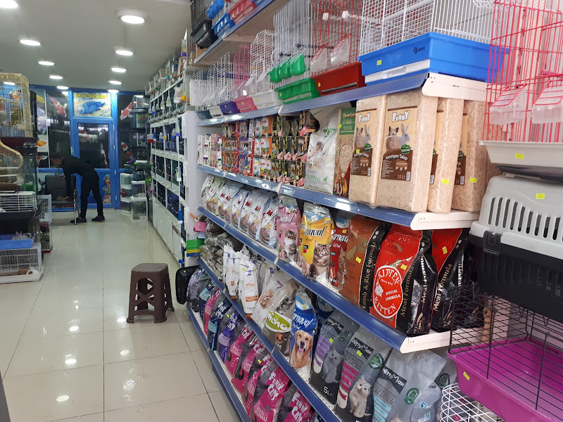 Ay Işığı Pet Shop ve AKVARYUM