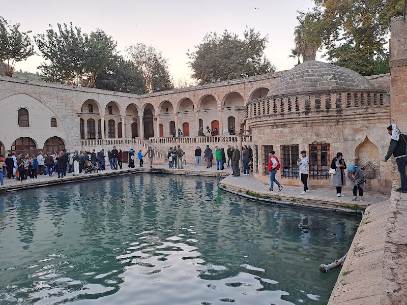 Ayanis Tur
