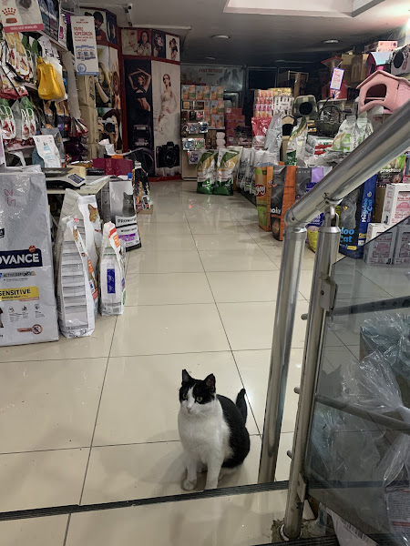 Ayaz Pet Shop