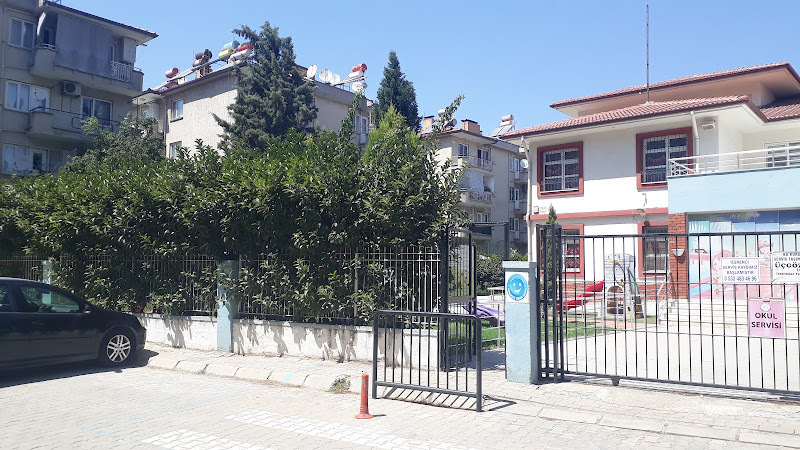 Aydın Kids Aloud İngilizce Anaokulu