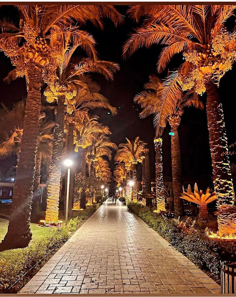 AydLed Park Bahçe Aydınlatma Direkleri