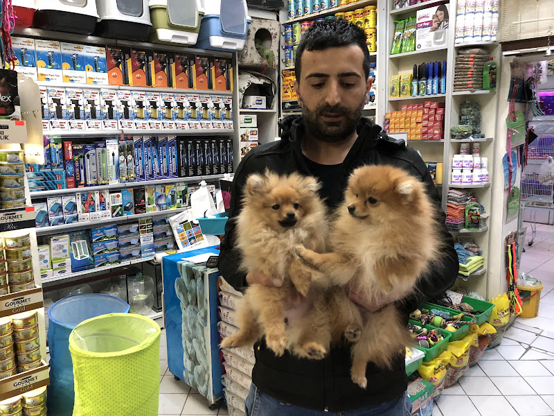 Ayhan PetShop