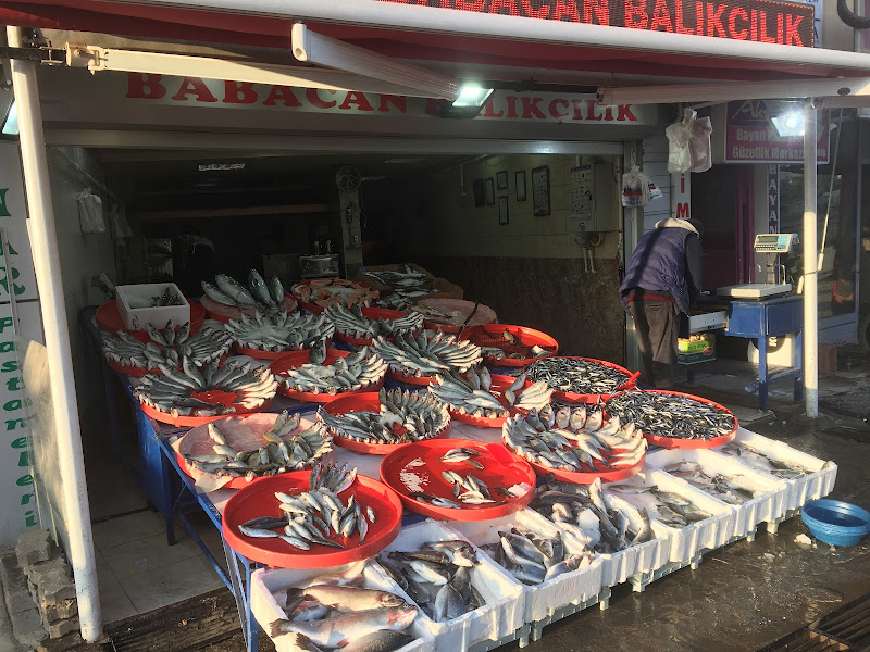 BabacanBalıkcilik