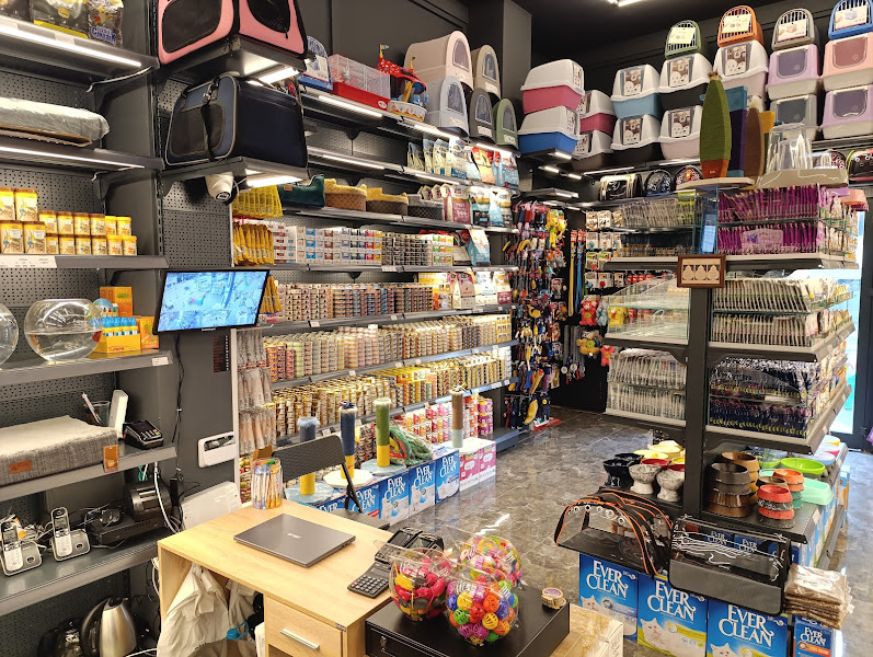 Bağdat Evcil Bostancı Petshop
