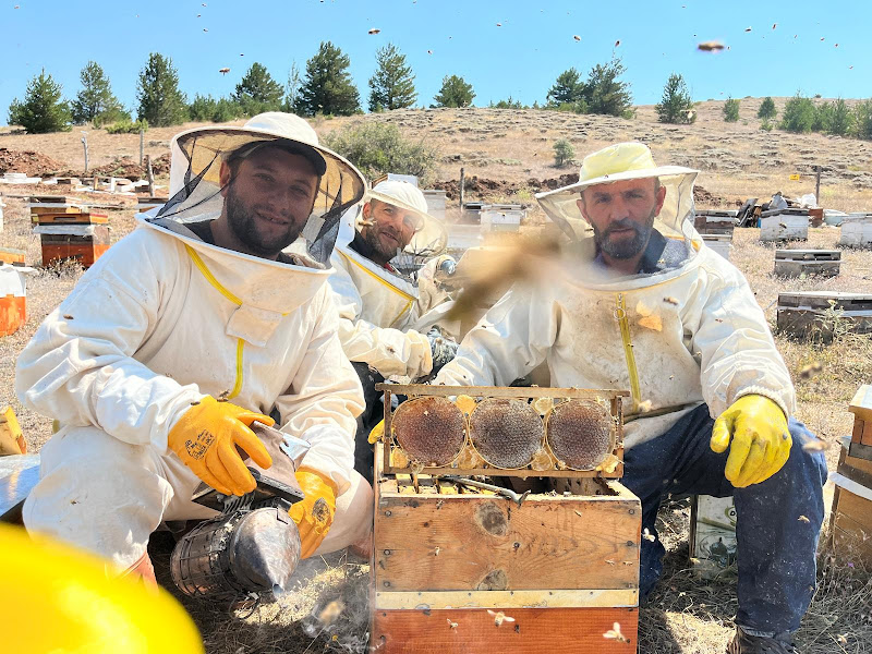 Bal Erzincan Doğal Arı Ürünleri