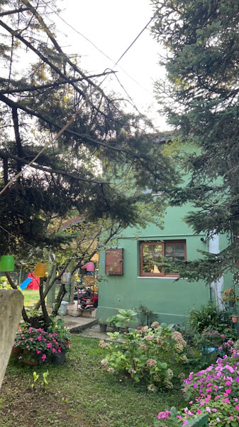 BAL evi HONEY house