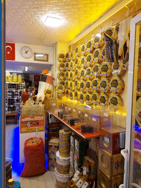 Balcı Turan