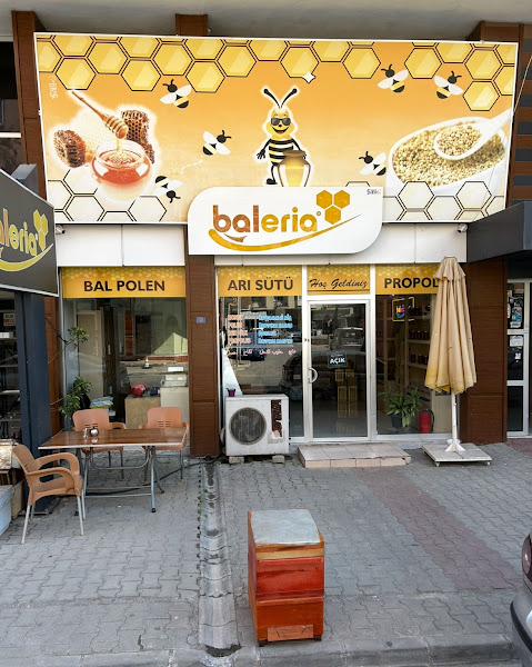 BALERİA BAL ORGANİK ARI ÜRÜNLERİ