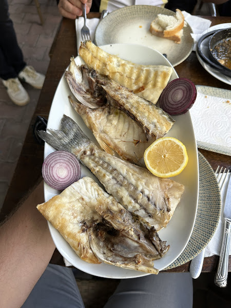 Balıkçı Talat Reis