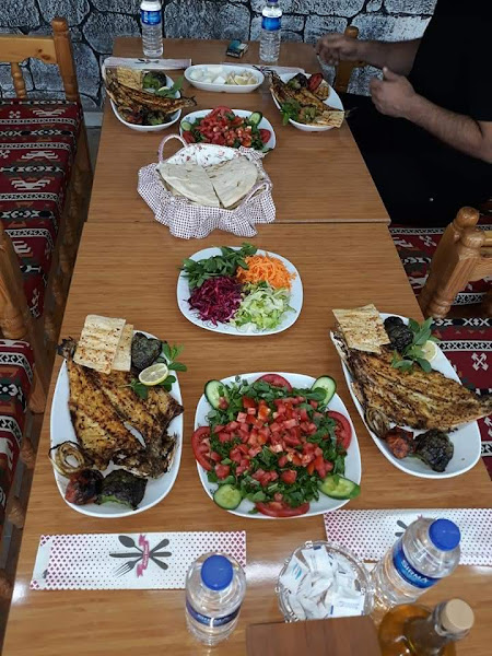 balıkçı yunus usta