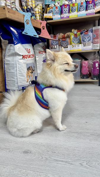 Balım Pet Market & Pet Kuaför