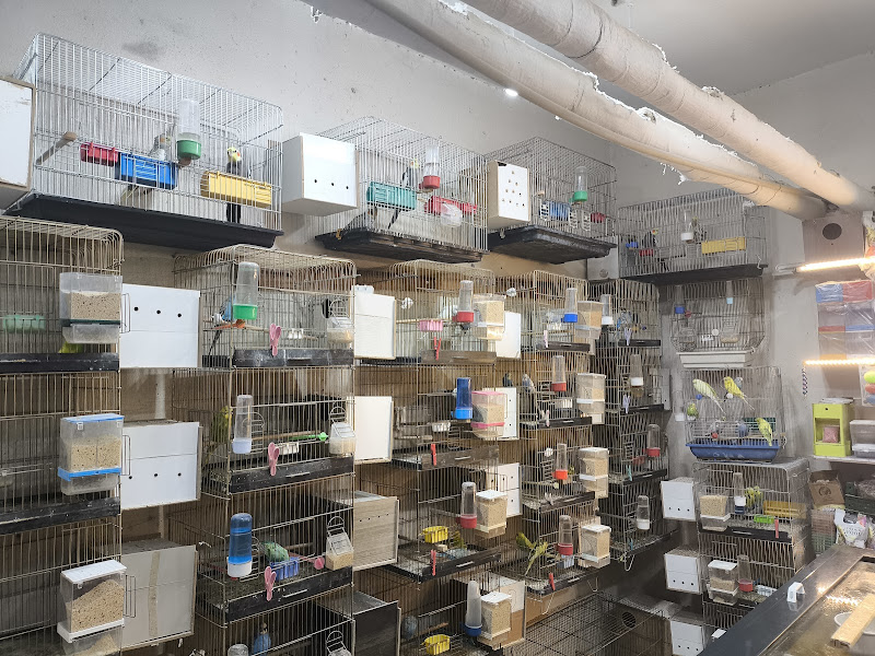 Banko Petshop