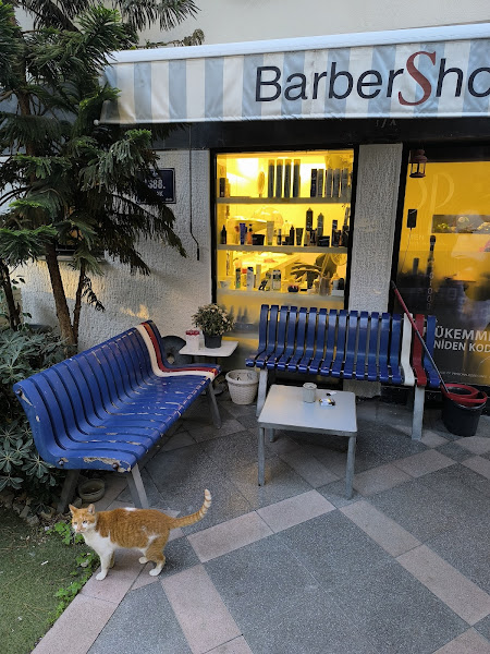 Barber Shop cihan