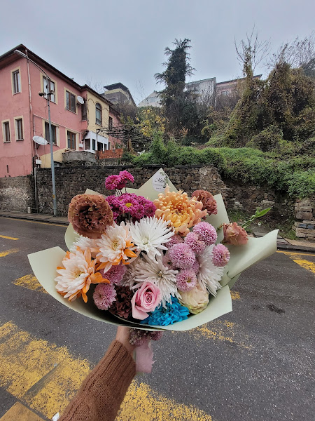 Bartın Mine Flowers & Botanik