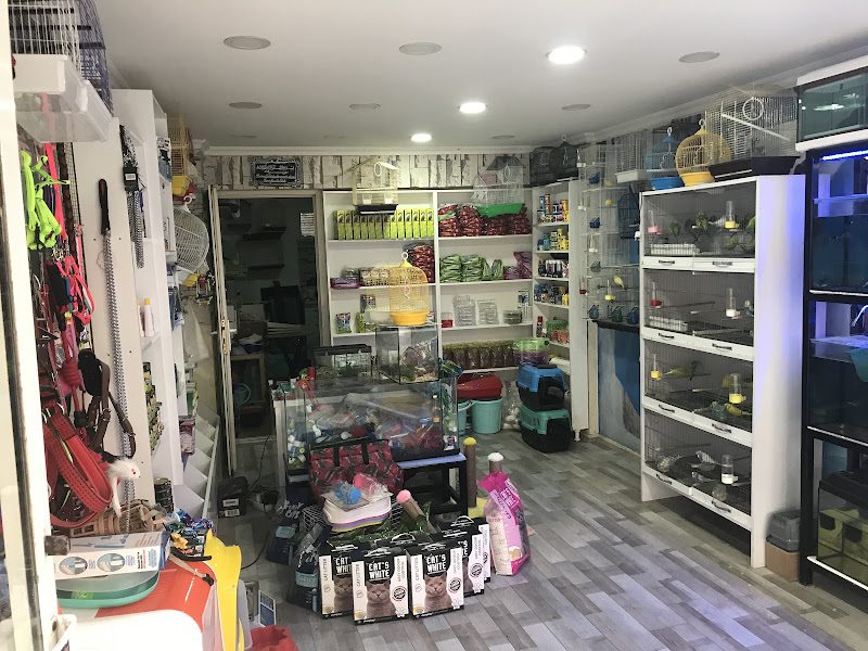 Batu Pet Shop, Kırıkkale Pet Shop