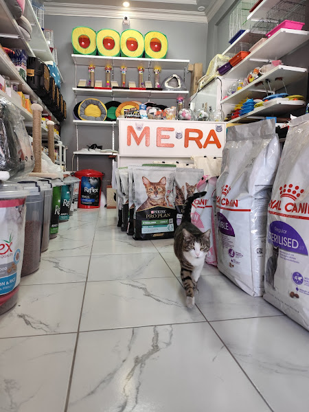 Baykuş Pet Shop