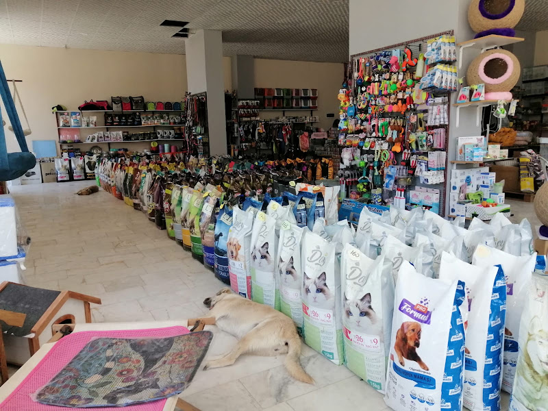 BENEK PETSHOP