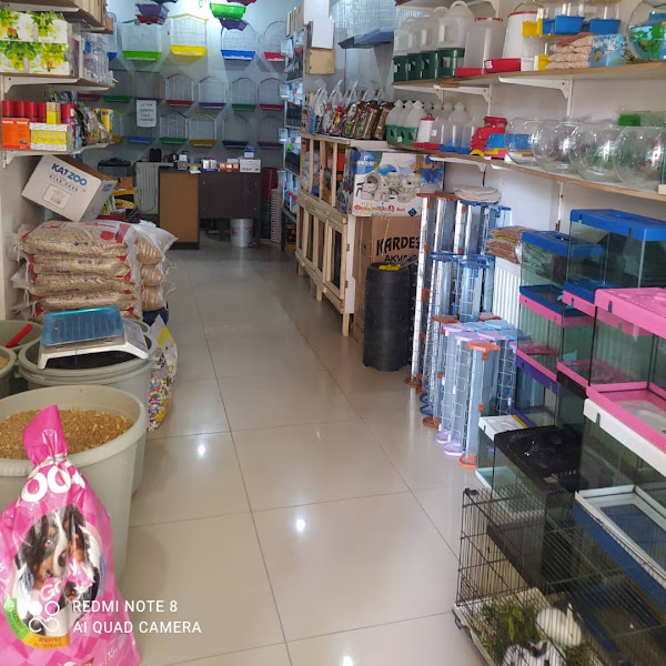 Bereket petshop