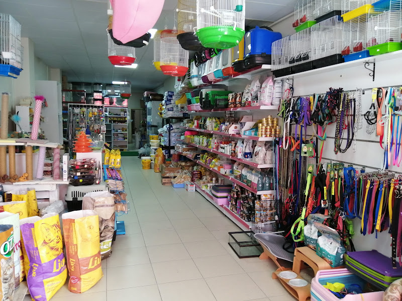 Beril Akvaryum Bolu’da bir Petshop