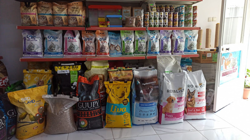 BERK ALP PETSHOP AKVARYUM
