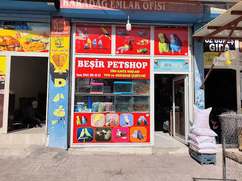 BEŞİR PETSHOP