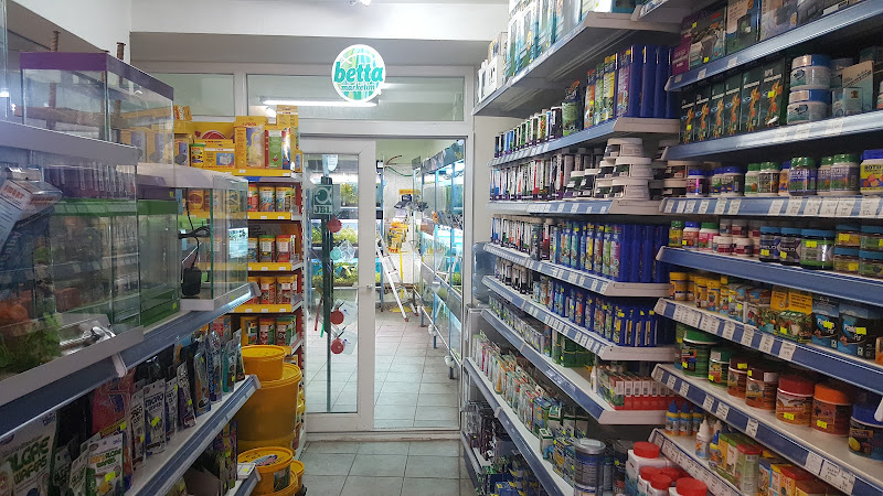 Betta Marketim Petshop