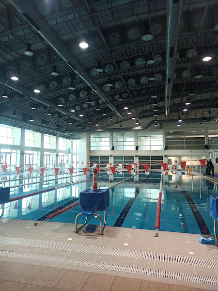Beü Yarı Olimpik Yüzme Havuzu