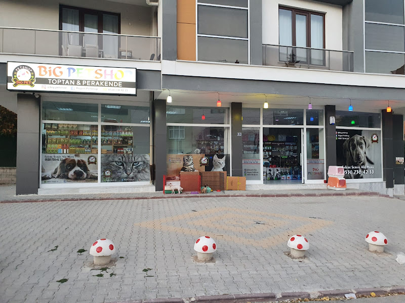 BİG PET SHOP