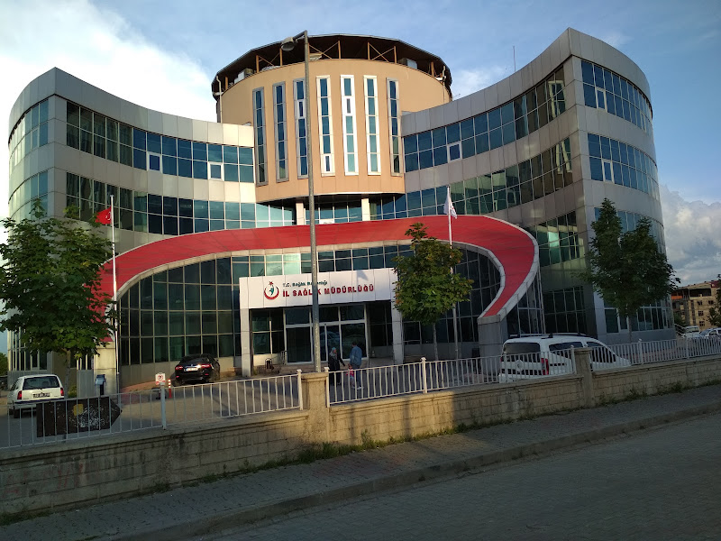 Bingöl Üniversitesi Diş Hekimliği Fakültesi