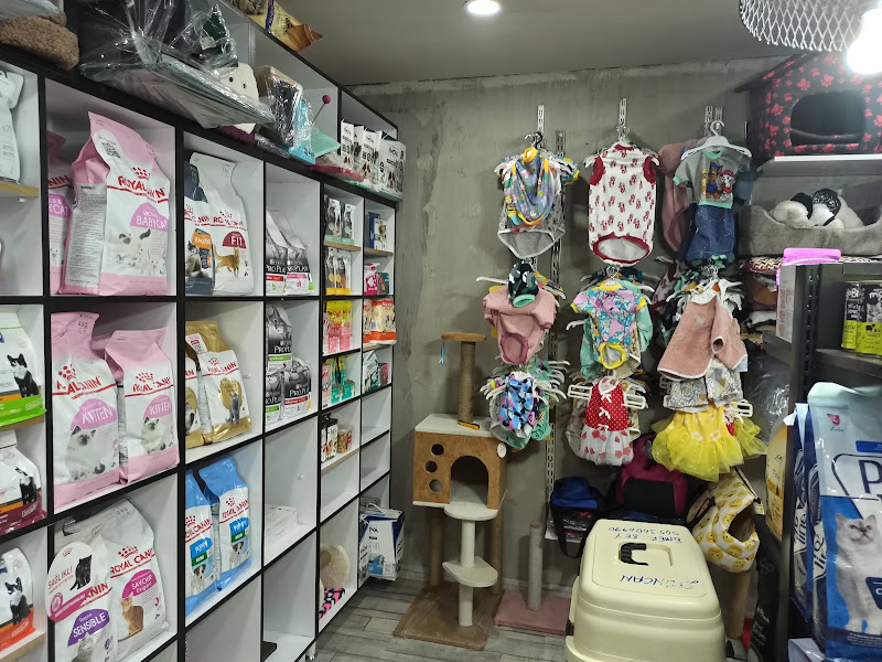 Blue Petshop
