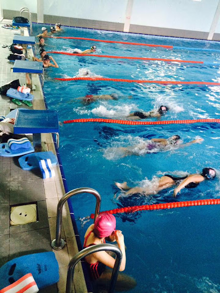 BOLU YÜZME VE SUALTI SPORLARI KULÜBÜ