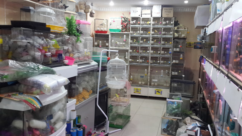 Boncuk Akvaryum Petshop trabzon
