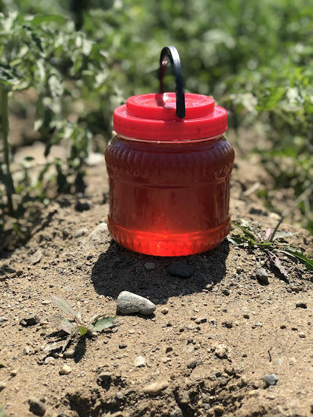 Bozkurt: Organik Bal ve Arı Ürünleri ( Bal, Propolis, Karakovan, Arı Sütü, Polen)