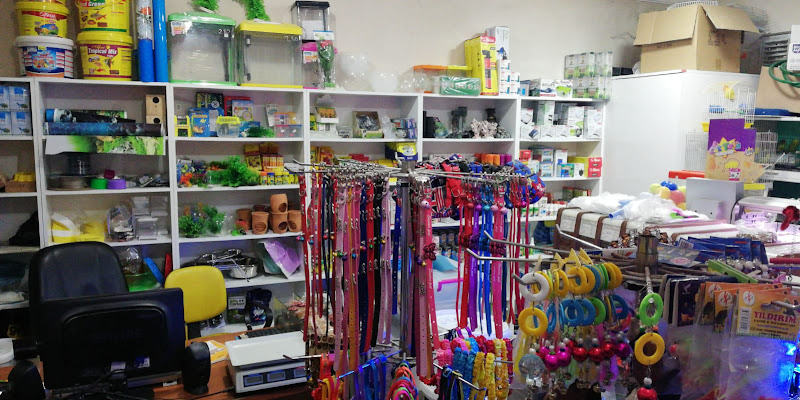 BUĞLEM PETSHOP 2 (BİLECİK/MERKEZ)