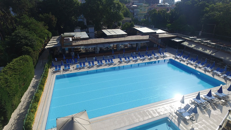 Buz Yüzme Kulübü