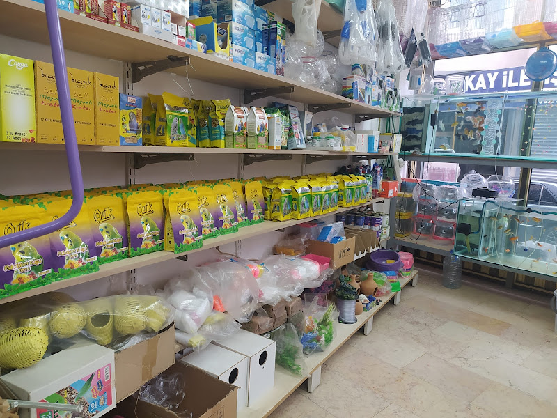 Cadde Akvaryum Petshop izmit