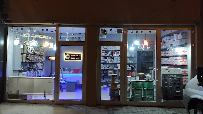 Çalışkanlar Elektrik