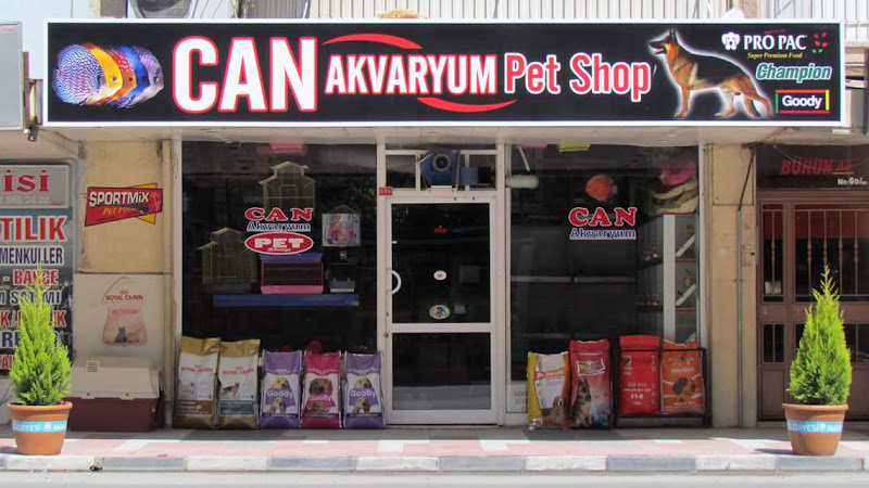 Can Akvaryum Pet Store Pet Kuaför Alo Mama Hattı