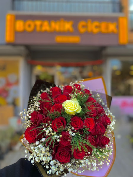 ÇANKIRI BOTANİK ÇİÇEK