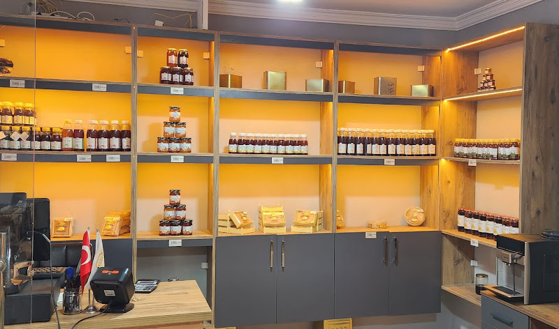 Carsch Bal Evi