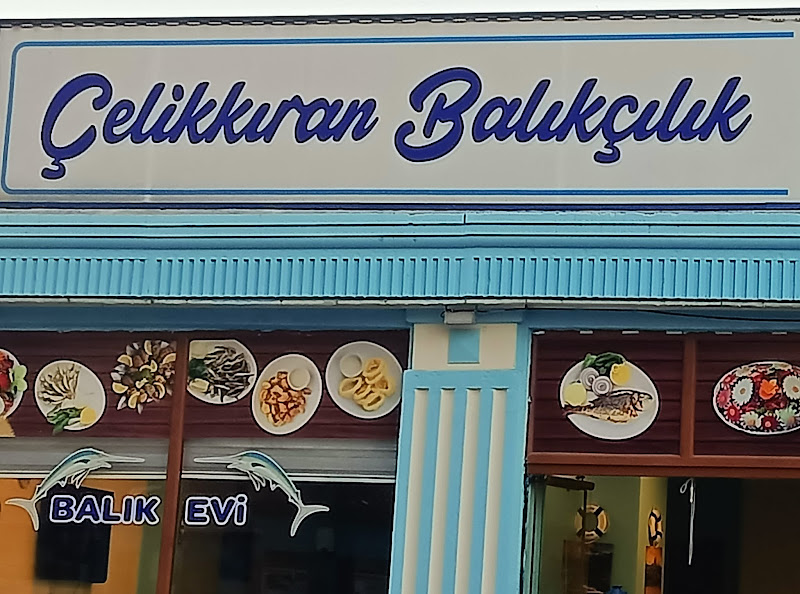 Çelikkıran Balıkçılık
